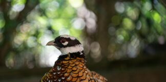 Keanu Reeves: Life Story, Career Highlights, and Full Biography