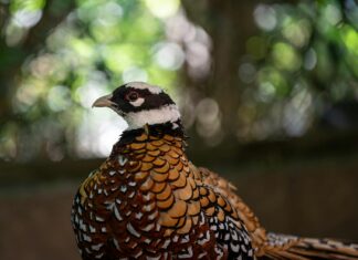 Keanu Reeves: Life Story, Career Highlights, and Full Biography Keanu Reeves: Life Story, Career Highlights, and Full Biography