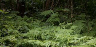 Keira Knightley: Life Story, Career Highlights, and Full Biography Keira Knightley: Life Story, Career Highlights, and Full Biography