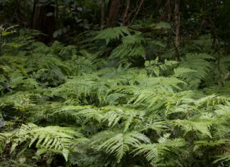 Keira Knightley: Life Story, Career Highlights, and Full Biography Keira Knightley: Life Story, Career Highlights, and Full Biography