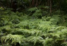 Keira Knightley Nude Scenes: What She Regrets And What She Defends Keira Knightley Nude Scenes: What She Regrets And What She Defends