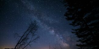 Kenan Thompson: Life Story, Career Highlights, and Full Biography Kenan Thompson: Life Story, Career Highlights, and Full Biography