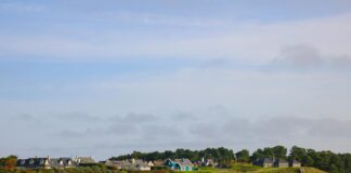 Kerry Condon: Life Story, Career Highlights, and Full Biography