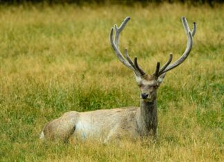 Kevin Hart: Life Story, Career Highlights, and Full Biography Kevin Hart: Life Story, Career Highlights, and Full Biography