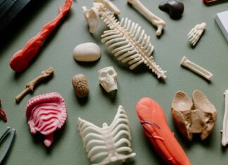 Kit Harington: Life Story, Career Highlights, and Full Biography Kit Harington: Life Story, Career Highlights, and Full Biography