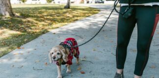Kristen Welker: Life Story, Career Highlights, and Full Biography