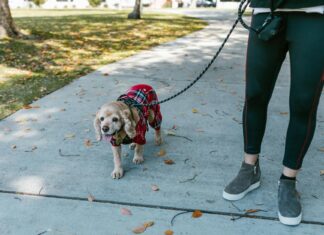 Kristen Welker: Life Story, Career Highlights, and Full Biography Kristen Welker: Life Story, Career Highlights, and Full Biography