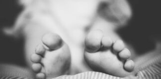 Lady Gaga: Life Story, Career Highlights, and Full Biography