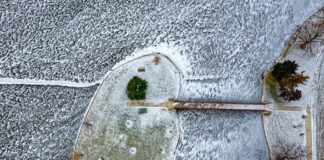 Léa Seydoux: Life Story, Career Highlights, and Full Biography