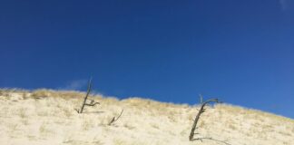 Lela Sohna OnlyFans Leaks: What We Know and What’s Going Viral