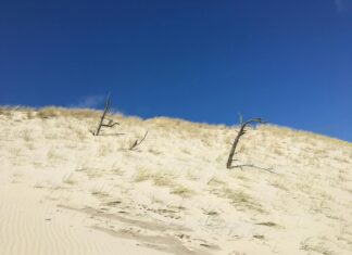 Lela Sohna OnlyFans Leaks: What We Know and What’s Going Viral Lela Sohna OnlyFans Leaks: What We Know and What’s Going Viral