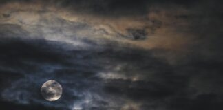 Lexi Luna OnlyFans Leaks: What We Know and What’s Going Viral