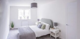 Liam Neeson: Life Story, Career Highlights, and Full Biography