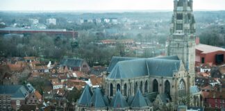 Liev Schreiber: Life Story, Career Highlights, and Full Biography