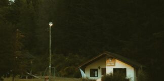 Lina Belfiore OnlyFans Leaks: What We Know and What’s Going Viral Lina Belfiore OnlyFans Leaks: What We Know and What’s Going Viral