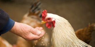 Lindsey Pelas OnlyFans Leaks: What We Know and What’s Going Viral Lindsey Pelas OnlyFans Leaks: What We Know and What’s Going Viral