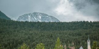 Luka Dončić: Life Story, Career Highlights, and Full Biography