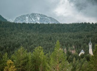 Luka Dončić: Life Story, Career Highlights, and Full Biography Luka Dončić: Life Story, Career Highlights, and Full Biography
