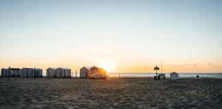 Maddi Pann OnlyFans Leaks: What We Know and What’s Going Viral