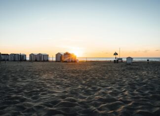 Maddi Pann OnlyFans Leaks: What We Know and What’s Going Viral Maddi Pann OnlyFans Leaks: What We Know and What’s Going Viral