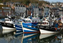 Maddy Cheary OnlyFans Leaks: What We Know and What’s Going Viral