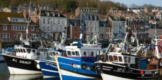 Maddy Cheary OnlyFans Leaks: What We Know and What’s Going Viral