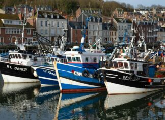 Maddy Cheary OnlyFans Leaks: What We Know and What’s Going Viral Maddy Cheary OnlyFans Leaks: What We Know and What’s Going Viral