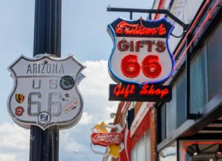 Maisie Williams: Life Story, Career Highlights, and Full Biography Maisie Williams: Life Story, Career Highlights, and Full Biography