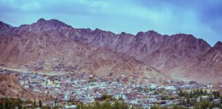 Mandy Lee OnlyFans Leaks: What We Know and What’s Going Viral