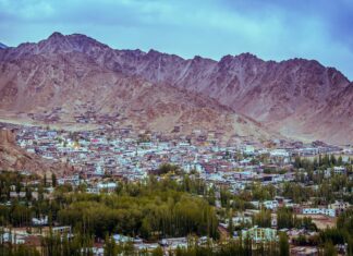 Mandy Lee OnlyFans Leaks: What We Know and What’s Going Viral Mandy Lee OnlyFans Leaks: What We Know and What’s Going Viral