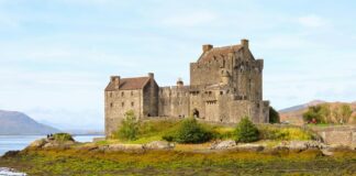 Margot Robbie: Life Story, Career Highlights, and Full Biography