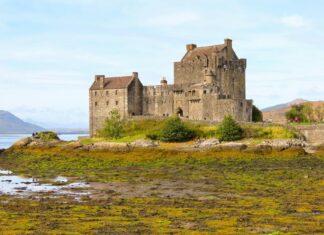 Margot Robbie: Life Story, Career Highlights, and Full Biography Margot Robbie: Life Story, Career Highlights, and Full Biography