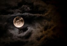 Maria the Gas Queen OnlyFans Leaks: What We Know and What’s Going Viral