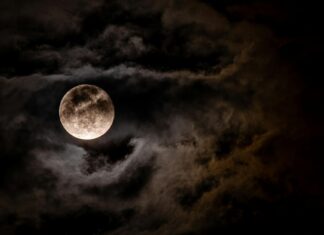 Maria the Gas Queen OnlyFans Leaks: What We Know and What’s Going Viral Maria the Gas Queen OnlyFans Leaks: What We Know and What’s Going Viral