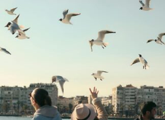 Marty Whelan: Life Story, Career Highlights, and Full Biography Marty Whelan: Life Story, Career Highlights, and Full Biography