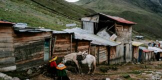 Mason Mount: Life Story, Career Highlights, and Full Biography