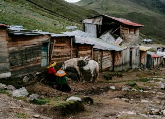 Mason Mount: Life Story, Career Highlights, and Full Biography Mason Mount: Life Story, Career Highlights, and Full Biography