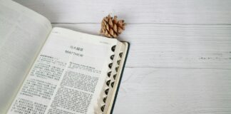 Matthew Lewis: Life Story, Career Highlights, and Full Biography