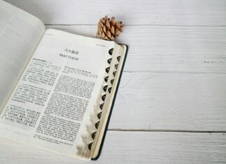 Matthew Lewis: Life Story, Career Highlights, and Full Biography Matthew Lewis: Life Story, Career Highlights, and Full Biography