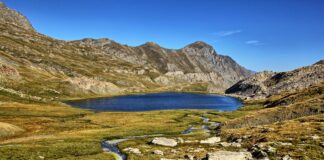 Maury Povich: Life Story, Career Highlights, and Full Biography