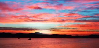 Maxine Waters Net Worth Breakdown: How She Built Her Wealth