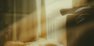 McGruff The Crime Dog History: How He Became A Safety Icon