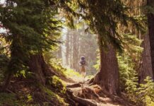 McKenzie Valdez OnlyFans Leaks: What We Know and What’s Going Viral