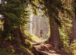 McKenzie Valdez OnlyFans Leaks: What We Know and What’s Going Viral McKenzie Valdez OnlyFans Leaks: What We Know and What’s Going Viral