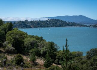 McKinley Richardson OnlyFans Leaks: What We Know and What’s Going Viral McKinley Richardson OnlyFans Leaks: What We Know and What’s Going Viral