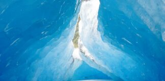 McKinzie Valdez OnlyFans Leaks: What We Know and What’s Going Viral