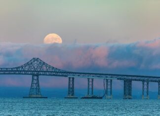 Megan McCarthy OnlyFans Leaks: What We Know and What’s Going Viral Megan McCarthy OnlyFans Leaks: What We Know and What’s Going Viral