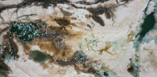 Mel Tucker Scandal Explained: What You Need To Know Now