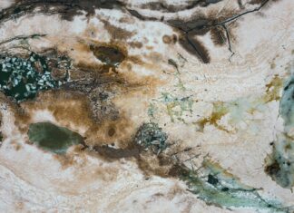 Mel Tucker Scandal Explained: What You Need To Know Now Mel Tucker Scandal Explained: What You Need To Know Now