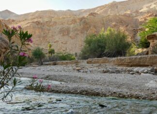 Michael Jordan: Life Story, Career Highlights, and Full Biography Michael Jordan: Life Story, Career Highlights, and Full Biography